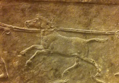 stone panel depicting a horselike animal led by ropes around the neck